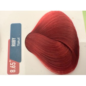 BITKISEL ICERIKLI BOYA 8.65 NUMARA VE OKSİDAN BITKISEL ICERIKLI BOYA 8.65 NUMARA VE OKSİDAN